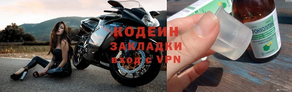 индика Баксан