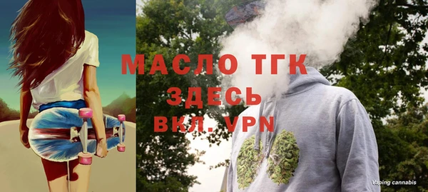 индика Баксан