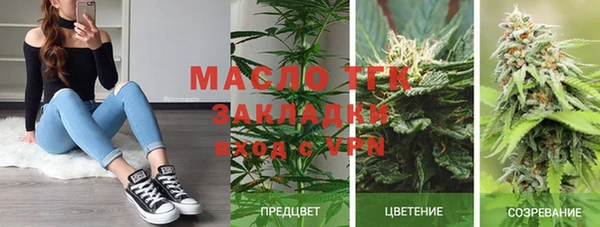 индика Баксан