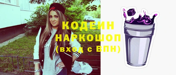 спиды Болотное