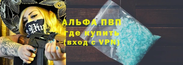 индика Баксан