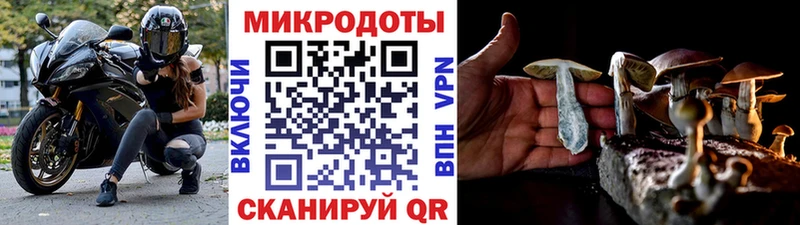 Галлюциногенные грибы ЛСД  купить наркотики цена  Бирюч 